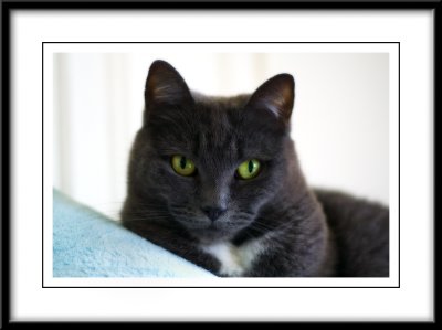 My Sweet Marsha