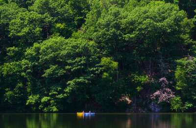 Wampus Pond