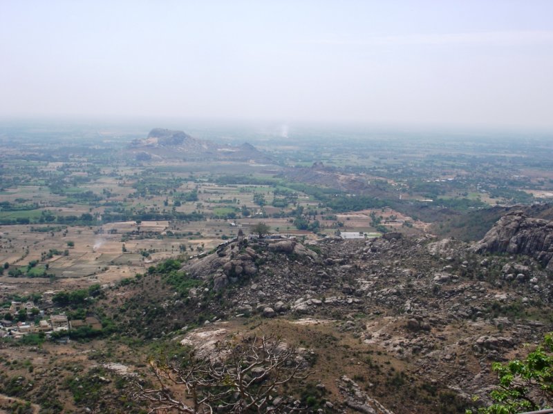 19.JPG