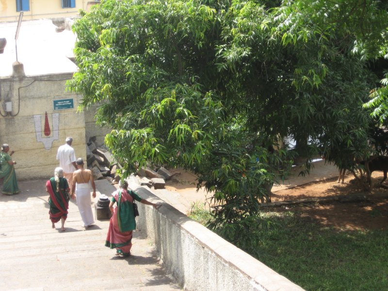 The natural beatuy -pradakshiNam around the temple.jpg