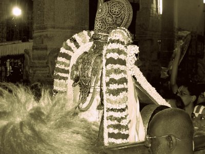Thiruvallikeni Vijaya Varuda Brahmothsavam - Day 6 Evening Yanai Vahanam