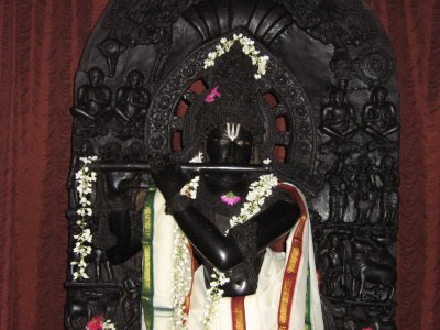 Lotus eyes of Sri Venugopala