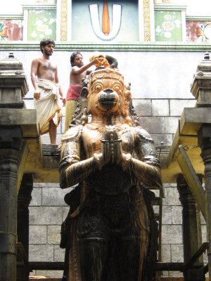 chandana kAppu