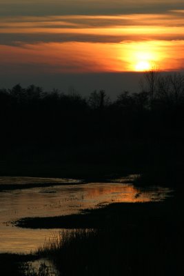 g6/95/360795/3/84703635.AUWLcmn4.jpg