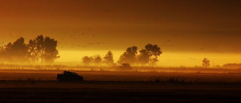 Early morning