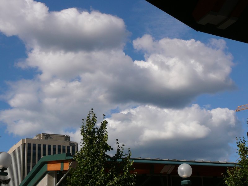 Bellvue Under Clouds and Blue Sky