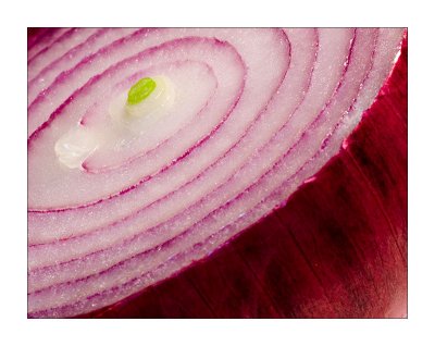The Humble Onion