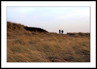 On the dunes
