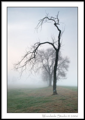 Meadows, Northampton MA