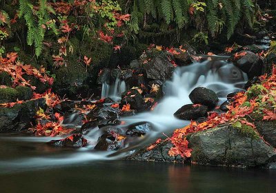 Fall at Whiskey Creek