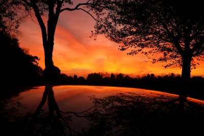 Sky on fire