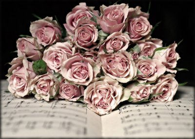 a love for music