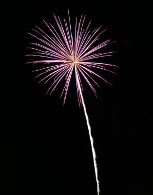 July 4 Firework