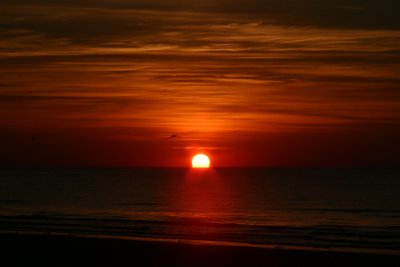 Galveston-Sunrise.jpg