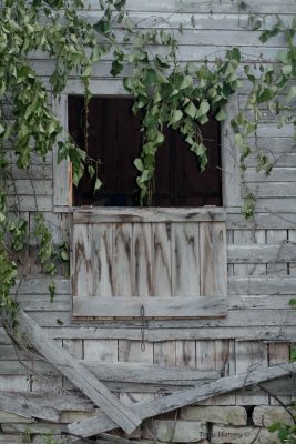 Window in Time