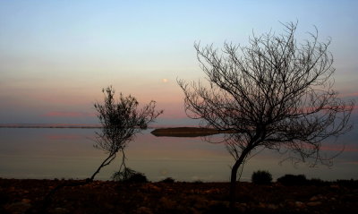 Moon Rise Dead Sea
