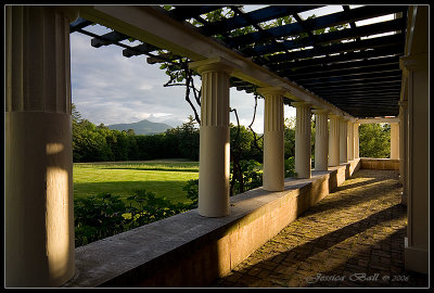 Afternoon Shadows