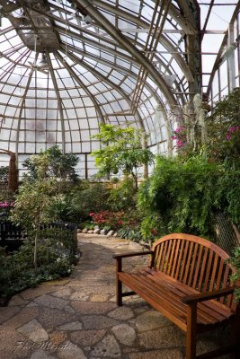 Conservatory Bench