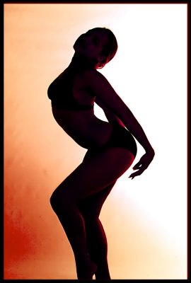 Silhouette audrebytes