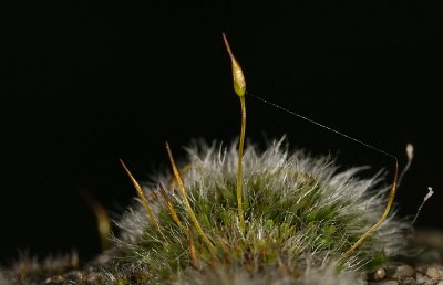 g6/95/398095/3/74887997.W1tX74Mo.jpg