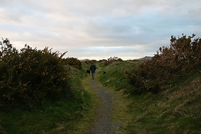 Long Winding Track