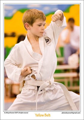 Yellow Belt