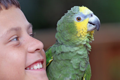 A Boy and Parrot