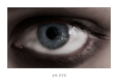 An Eye