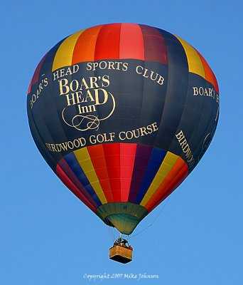 Boars Head Balloon