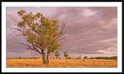 Sunset at Barcaldine