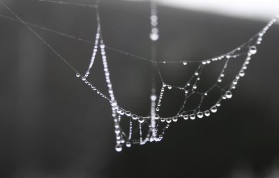 Broken web of Jewels