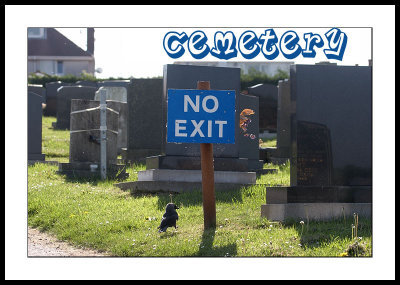 Assignment: Cemetery