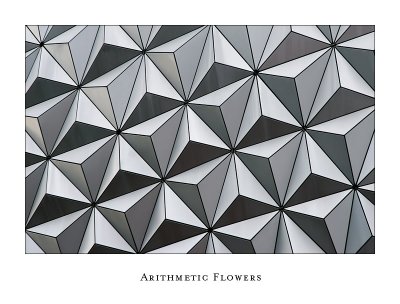 Arithmetic Flowers