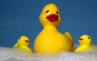 Mother Rubber Ducky by Lori H