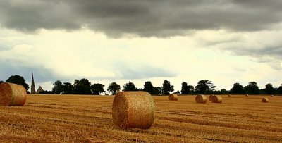 Harvest Time