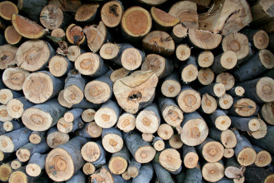 A wood pile