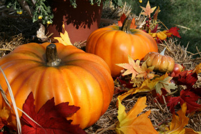 Faux Pumpkins