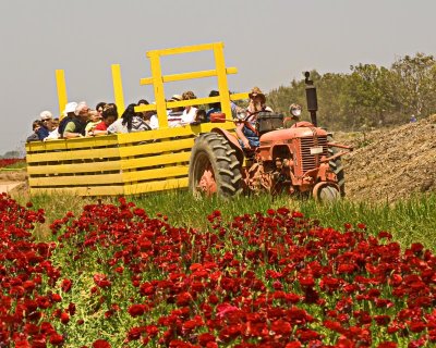 g6/95/41195/3/77038581.woQyPiNi.jpg