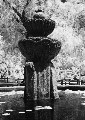 SANTA BARBARA MISSION CA, INFRAREDS