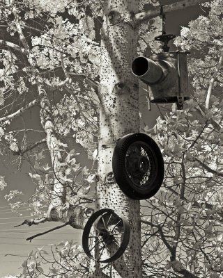 g6/95/41195/3/85421557.30y2C9W0.jpg