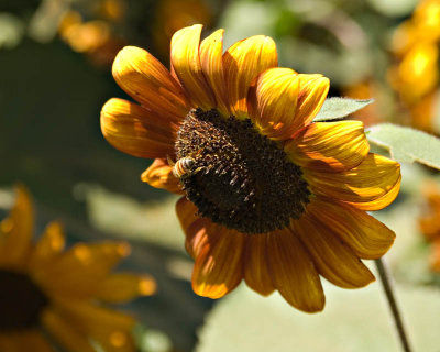 g6/95/41195/3/85474846.nyThoqH2.jpg