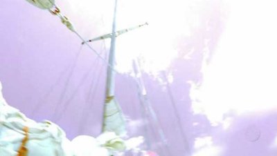 purple.jpg