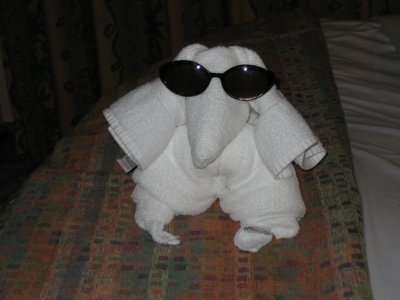 Cruise 043.jpg