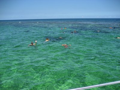 Cruise 173.jpg