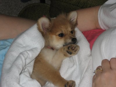 IMG_0226.jpg