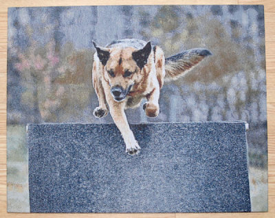 Toby 30 x 24 (Small) Gallery Wrapped Tapestry