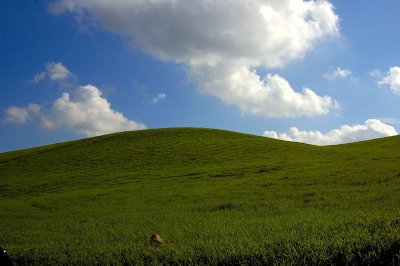 DSC_7427.jpg