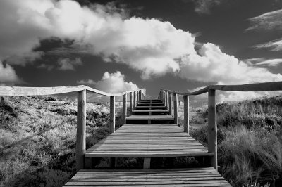 DSC_7559-8-12-6-Stairs.jpg