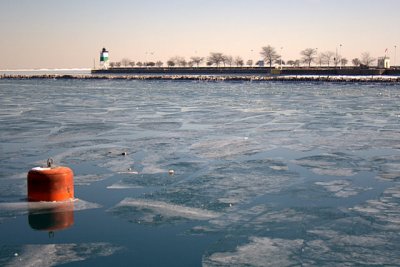 IMG_4124.jpg