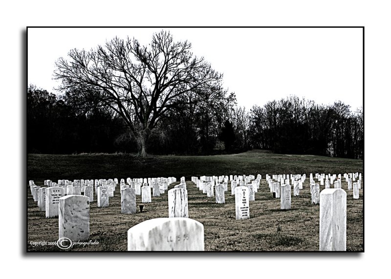 Gardens of Stone<p>November 7